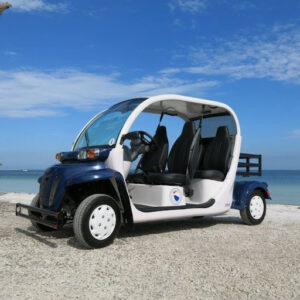 AMI Beach Buggys