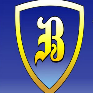 Blum's Auto Mart LLC logo