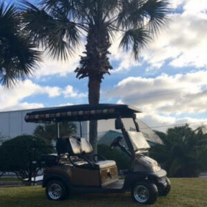 Ponte Vedra Golf Carts